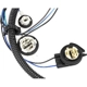 Purchase Top-Quality Tail Light Harness by BLUE STREAK (HYGRADE MOTOR) - S2619 3