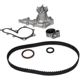Purchase Top-Quality Water Pump Belt by MITSUBOSHI - MT6501 2