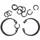 Purchase Top-Quality Wheel Bearing Lock Ring by DANA SPICER - 2002390 1