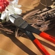 Purchase Top-Quality Diagonal Cutting Plier by KNIPEX - 7401250 pa19