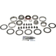 Purchase Top-Quality DORMAN (OE SOLUTIONS) - 697-028 - Ring And Pinion Master Installation Kit pa2