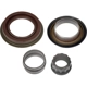 Purchase Top-Quality DORMAN (OE SOLUTIONS) - 697-039 - Ring And Pinion Master Installation Kit pa6