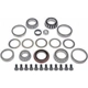 Purchase Top-Quality Differential Bearing by DORMAN (OE SOLUTIONS) - 697-120 pa2
