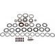 Purchase Top-Quality DORMAN (OE SOLUTIONS) - 797-100 - Differential Bearing Kit pa1