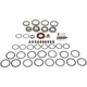 Purchase Top-Quality DORMAN (OE SOLUTIONS) - 797-101 - Ring And Pinion Master Bearing And Installation Kit pa1