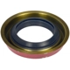 Purchase Top-Quality DORMAN (OE SOLUTIONS) - 797-101 - Ring And Pinion Master Bearing And Installation Kit pa5