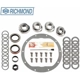 Purchase Top-Quality Differential Bearing Kit by RICHMOND - 83-1021-1 pa1