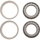 Purchase Top-Quality DANA SPICER - 706070X - Differential Bearing Set pa2