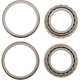 Purchase Top-Quality DANA SPICER - 706070X - Differential Bearing Set pa4