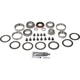 Purchase Top-Quality Differential Bearing Set by DORMAN (OE SOLUTIONS) - 697-028 pa1