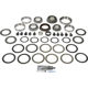 Purchase Top-Quality Differential Bearing Set by DORMAN (OE SOLUTIONS) - 697-035 pa1