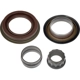 Purchase Top-Quality Differential Bearing Set by DORMAN (OE SOLUTIONS) - 697-039 pa4