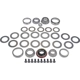 Purchase Top-Quality Differential Bearing Set by DORMAN (OE SOLUTIONS) - 697-102 pa1