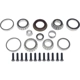 Purchase Top-Quality Differential Bearing Set by DORMAN (OE SOLUTIONS) - 697-111 pa1
