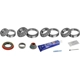 Purchase Top-Quality LUK - GDK315 - Axle Differential Bearing and Seal Kit pa1