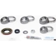 Purchase Top-Quality Differential Bearing Set by SKF - SDK304 pa2