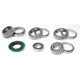 Purchase Top-Quality Differential Bearing Set by SKF - SDK305A pa1