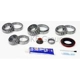 Purchase Top-Quality SKF - SDK311 - Differential Bearing Set pa1