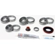 Purchase Top-Quality SKF - SDK311 - Differential Bearing Set pa3