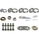 Purchase Top-Quality Differential Bearing Set by SKF - SDK320 pa6