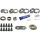 Purchase Top-Quality SKF - SDK321KMK - Differential Bearing Set pa2