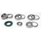 Purchase Top-Quality Differential Bearing Set by SKF - SDK324DMK pa1