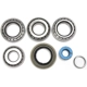 Purchase Top-Quality Differential Bearing Set by TIMKEN - DRK335C pa4