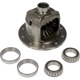 Purchase Top-Quality DORMAN (OE SOLUTIONS) - 697-391 - Differential Carrier Assembly - Open pa1