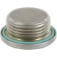 Purchase Top-Quality CRP/REIN - HWP0065 - Differential Drain Plug pa1