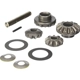 Purchase Top-Quality DANA SPICER - 2005962 - Differential Inner Gear Kit pa1