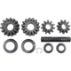 Purchase Top-Quality DANA SPICER - 2023881 - Differential Gear Set pa1