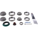 Purchase Top-Quality Differential Kit by DANA SPICER - 10024027 pa2