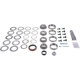 Purchase Top-Quality DANA SPICER - 10024044 - Bearing Kit pa2