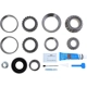 Purchase Top-Quality DANA SPICER - 10038952 - Axle Differential Bearing and Seal Kit pa2