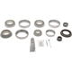 Purchase Top-Quality DANA SPICER - 10038966 - Differential Rebuild Kit pa1