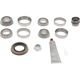 Purchase Top-Quality Differential Kit by DANA SPICER - 10040312 pa2