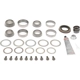 Purchase Top-Quality DANA SPICER - 10040313 - Differential Standard Bearing Kit pa1