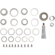 Purchase Top-Quality DANA SPICER - 10040313 - Differential Standard Bearing Kit pa2