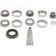 Purchase Top-Quality DANA SPICER - 10040451 - Differential Standard Bearing Kit pa1