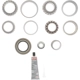 Purchase Top-Quality DANA SPICER - 10040477 - Differential Standard Bearing Kit pa1