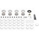 Purchase Top-Quality DANA SPICER - 10043618 - Differential Master Overhaul Kit pa2