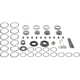 Purchase Top-Quality DANA SPICER - 10043620 - Differential Bearing Kit pa1