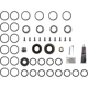 Purchase Top-Quality DANA SPICER - 10043620 - Differential Bearing Kit pa2