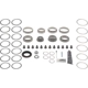 Purchase Top-Quality Differential Kit by DANA SPICER - 10043641 pa1