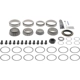 Purchase Top-Quality DANA SPICER - 10043645 - Rear Differential Master Overhaul Kit pa1