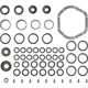 Purchase Top-Quality Differential Kit by DANA SPICER - 2017099 pa1