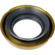 Purchase Top-Quality Differential Pinion Flange by DORMAN (OE SOLUTIONS) - 697-023 pa2