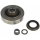 Purchase Top-Quality Differential Pinion Flange by DORMAN (OE SOLUTIONS) - 697-501 pa2