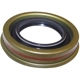 Purchase Top-Quality Differential Pinion Seal by CROWN AUTOMOTIVE JEEP REPLACEMENT - 68004072AA pa1