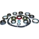 Purchase Top-Quality Differential Rebuild Kit by CROWN AUTOMOTIVE JEEP REPLACEMENT - D35MASKIT pa1